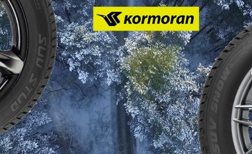 Корморан шины: страна производитель зимних грузовой резины kormoran snow